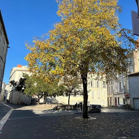 Le Logis Des Templiers Vieux Port La Rochelle (Charente-Maritime)
